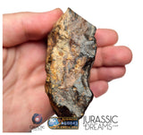 S195 -  "NWA 17596" MAIN MASS Ordinary Chondrite Type LL3 Meteorite 249g