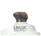 J427 - Exceedingly Rare Denversaurus schlessmani Nodosaurid Armored Dinosaur Tooth - Lance Creek Fm