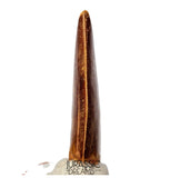 J498 - Nicely Preserved Large Carcharodontosaurus saharicus Dinosaur Tooth - Cretaceous KemKem Beds