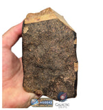S78 -  "NWA 17599" MAIN MASS Fresh Eucrite (unbrecciated) HED Achondrite Meteorite 1280g