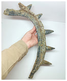1199 - Museum Grade Spicomellus afer Oldest Ankylosaurian Dinosaur Complete Spiny Rib - El Mers Fm
