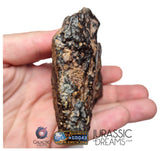 S195 -  "NWA 17596" MAIN MASS Ordinary Chondrite Type LL3 Meteorite 249g
