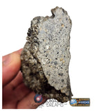 S101 - "NWA 17660" Eucrite Polymict HED Achondrite Meteorite MAIN MASS 227g