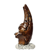 J106 - Top Rare Killer Alvarezsaurid Theropod Dinosaur Manus Claw - Lower Cretaceous Elrhaz Fm