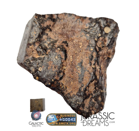 S195 -  "NWA 17596" MAIN MASS Ordinary Chondrite Type LL3 Meteorite 249g