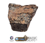 S195 -  "NWA 17596" MAIN MASS Ordinary Chondrite Type LL3 Meteorite 249g
