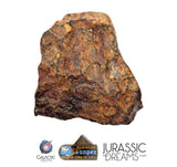 S195 -  "NWA 17596" MAIN MASS Ordinary Chondrite Type LL3 Meteorite 249g