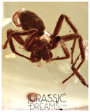 J332 - Museum Grade Large SPIDER & VELVET ANT Rare MUTILLIDAE Fossil Inclusion Genuine BALTIC AMBER + HQ Picture