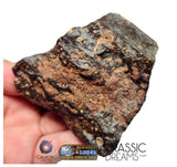 S195 -  "NWA 17596" MAIN MASS Ordinary Chondrite Type LL3 Meteorite 249g