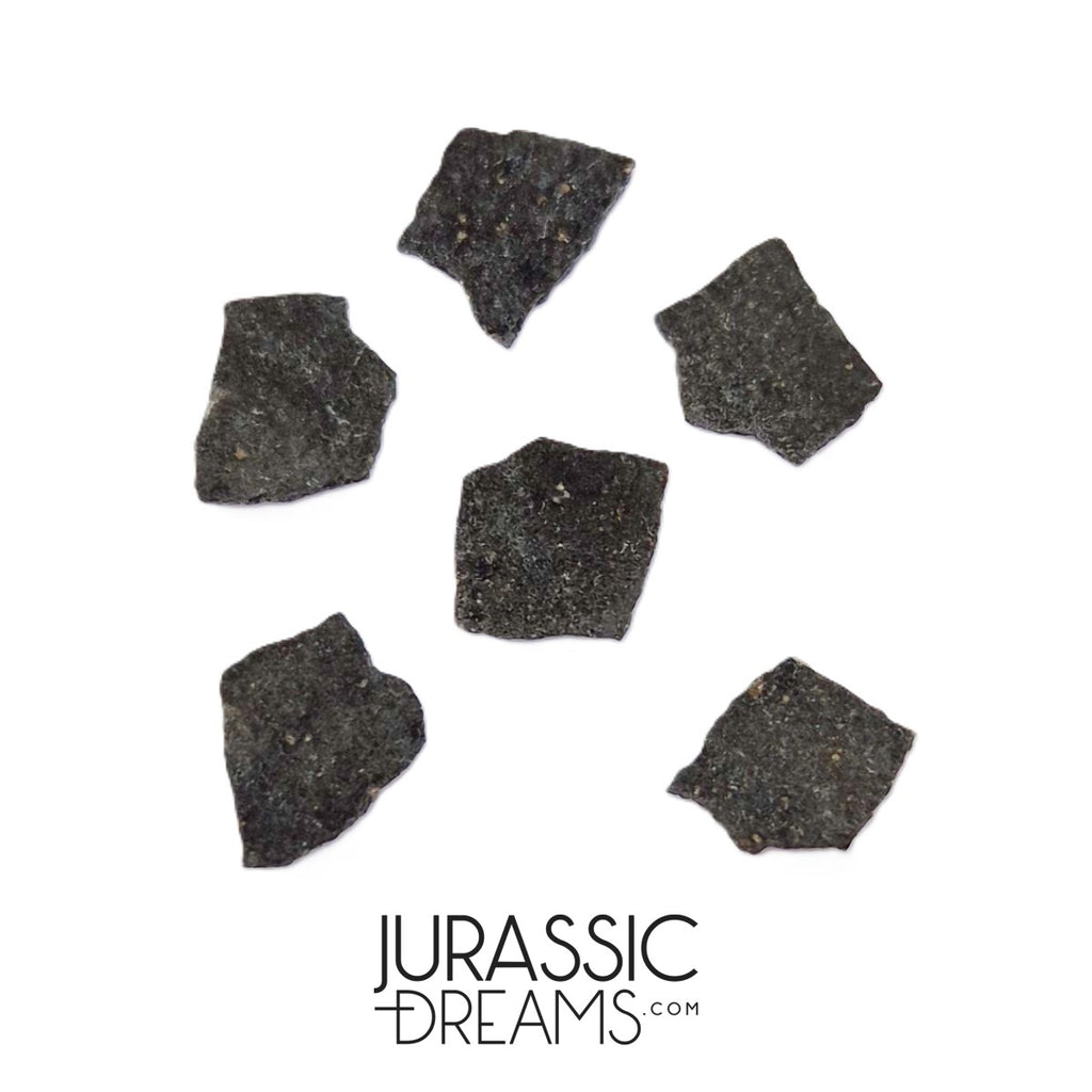 J215 - Unusual Unidentified Dinosaur Set of 6 Egg Shells - Upper Jurassic - "The Young Locality" Morrison Fm