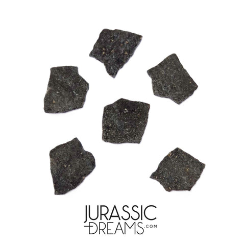 J215 - Unusual Unidentified Dinosaur Set of 6 Egg Shells - Upper Jurassic - "The Young Locality" Morrison Fm