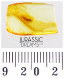 J502 - Top Rare CENTIPEDE Lithobiidae Fossil Inclusion Genuine BALTIC AMBER + HQ Picture