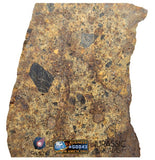 S276 - "NWA 14917" Diogenite Polymict Meteorite Large thick Slice HED Achondrite 26,4g