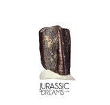 J412 - Nicely Preserved Edmontosaurus Hadrosaurid "duck-billed" Ornithopod Dinosaur Tooth - Hell Creek Fm