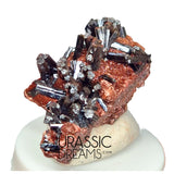 S298 - Top Rare Unusual Gohetite Partial Geode with Astonishing Prismatic Columnar Pyrolusite Crystals