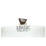 J435- Lovely Tiny Thescelosaurus sp Ornithischian Dinosaur Tooth - Late Cretaceous - Lance Fm