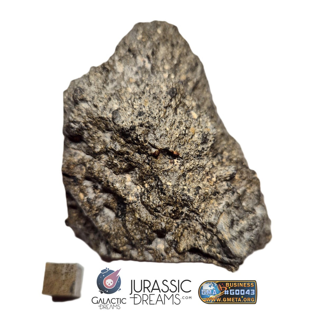 S101 - "NWA 17660" Eucrite Polymict HED Achondrite Meteorite MAIN MASS 227g