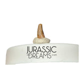 S345 - Exceedingly Rare Paronychodon caperatus (Troodontid Theropod) Dinosaur Tooth - Lance Fm