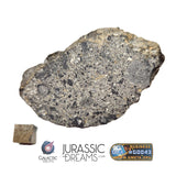 S100 -  "NWA 17660" Eucrite Polymict HED Achondrite Meteorite Half Stone 154g