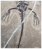 S227 - Large & Nicely Preserved Keichousaurus hui Early Triassic Marine Reptile