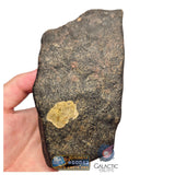 S78 -  "NWA 17599" MAIN MASS Fresh Eucrite (unbrecciated) HED Achondrite Meteorite 1280g
