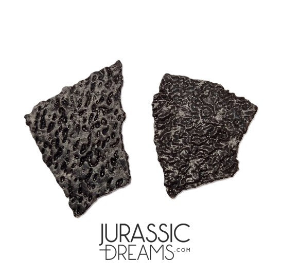 J282 - Exceedingly Rare Hadrosaurid (cf Maisaura peeblesorum) Set of 2 Egg Shells - Late Cretaceous Two Medicine Fm