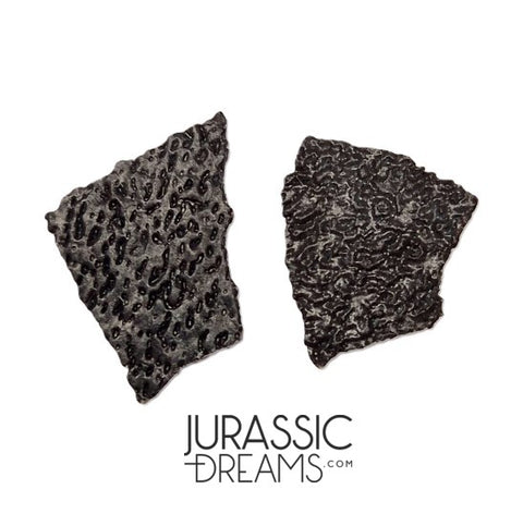 J282 - Exceedingly Rare Hadrosaurid (cf Maisaura peeblesorum) Set of 2 Egg Shells - Late Cretaceous Two Medicine Fm