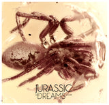 J359 - SPIDER Araneae Rare Fossil Inclusion in Genuine BALTIC AMBER + HQ Picture