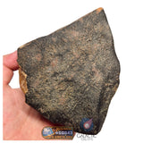 S78 -  "NWA 17599" MAIN MASS Fresh Eucrite (unbrecciated) HED Achondrite Meteorite 1280g