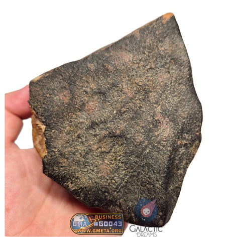 S78 -  "NWA 17599" MAIN MASS Fresh Eucrite (unbrecciated) HED Achondrite Meteorite 1280g