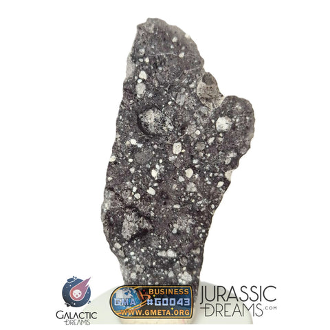 S308 - Outstanding "NWA 17679" Lunar Meteorite (feldspathic breccia) Part Slice 3,5g