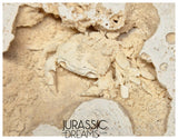 J381 - Finest Quality Fossil Crab (Potamon) Preserved in Travertine - Turkey Location