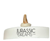 S345 - Exceedingly Rare Paronychodon caperatus (Troodontid Theropod) Dinosaur Tooth - Lance Fm