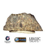 J326 -  "MONEGROS" Rare Historical Spanish Meteorite - 5,27g Thick Crusted Slice - Ordinary Chondrite L5