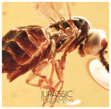 J12 - Great CHALCID WASP Chalcidoidea Fossil Inclusion Genuine BALTIC AMBER + HQ Picture