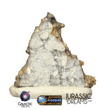 S274 - "The Apollo Lunar" Meteorite Part Slice "Gadamis 008"  Lunar ferroan anorthosite 0,40g