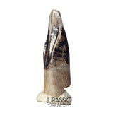 J477 - Tyrannosaur Dinosaur Tooth - Nanotyrannus Premaxillary Tooth (cf Aublysodon) - Hell Creek Fm
