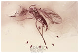 J432 - Museum Grade GNAT Sciaridae LAYING EGGS Fossil Inclusion Genuine BALTIC AMBER + HQ Picture