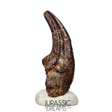 J108 - Top Rare Killer Alvarezsaurid Theropod Dinosaur Manus Claw - Lower Cretaceous Elrhaz Fm