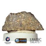 J326 -  "MONEGROS" Rare Historical Spanish Meteorite - 5,27g Thick Crusted Slice - Ordinary Chondrite L5