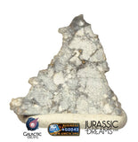 S274 - "The Apollo Lunar" Meteorite Part Slice "Gadamis 008"  Lunar ferroan anorthosite 0,40g