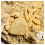 J85 - Top Fossil Crab (Potamon) Preserved in Travertine - Turkey Location