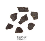 J280 - Unusual Unidentified Dinosaur Set of 7 Egg Shells - Upper Jurassic - "The Young Locality" Morrison Fm