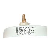 S345 - Exceedingly Rare Paronychodon caperatus (Troodontid Theropod) Dinosaur Tooth - Lance Fm