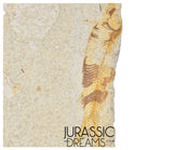 S363 - Mass Mortality Plate "Diplomystus dentatus" + "Knightia eocaena" Fossil Fishes - Eocene Age from USA