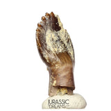 J514 - Top Rare cf Archaeodontosaurus Primitive Prosauropod Dinosaur Tooth - Middle Jurassic