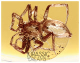 J31 - Nice SPIDER Araneae Fossil Inclusion Genuine BALTIC AMBER + HQ Picture