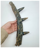 1211 - Museum Grade Spicomellus afer Oldest Ankylosaurian Dinosaur Partial Spiny Rib - El Mers Fm