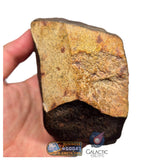 S78 -  "NWA 17599" MAIN MASS Fresh Eucrite (unbrecciated) HED Achondrite Meteorite 1280g