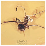 J10 - Large Nice ANT Formicidae Fossil Inclusion Genuine BALTIC AMBER + HQ Picture